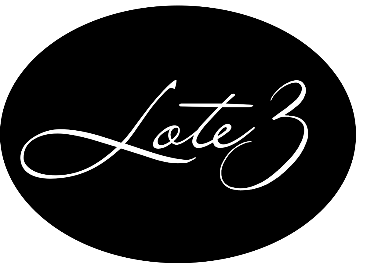 lote-3-logo